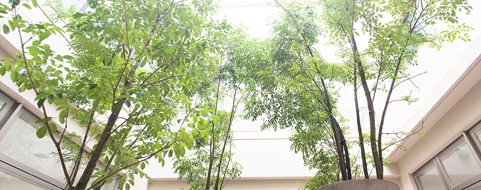 福岡県北九州市の特別養護老人ホーム陽光園・中庭の植物